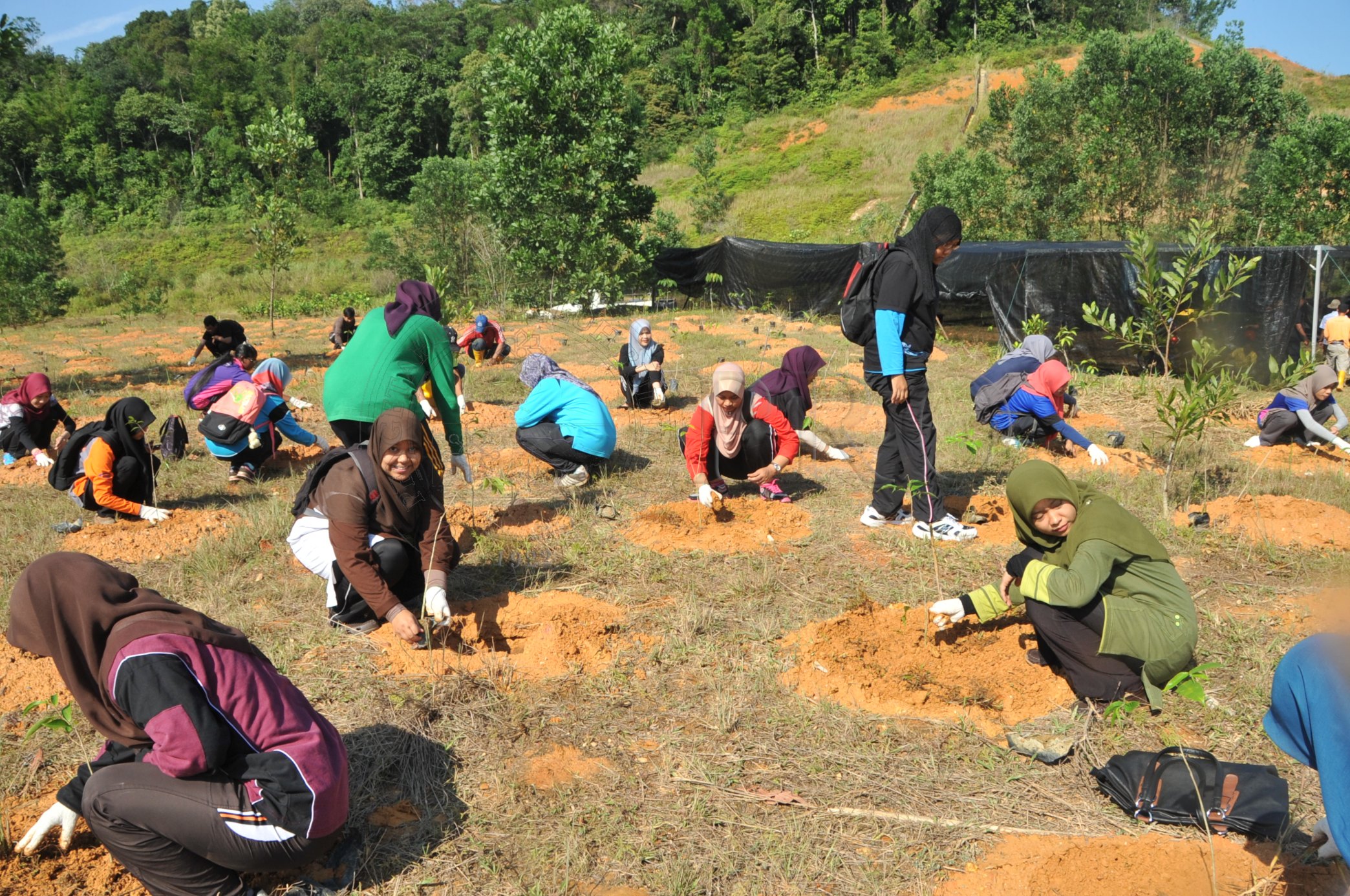 PRO 14 48 KARAS PRO 6717